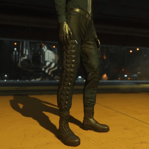 Torreto Pants (Modified)