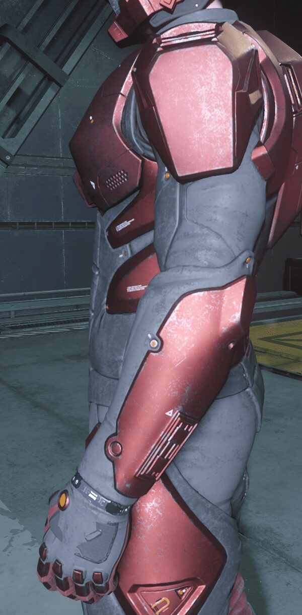 Geist Armor Arms Rogue