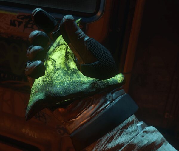 Irradiated Kopion Horn