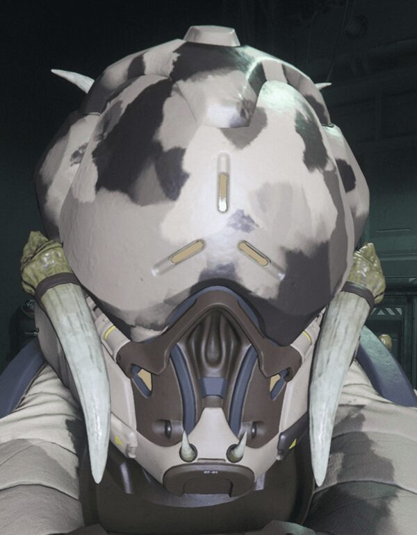 Ana Helmet Endro