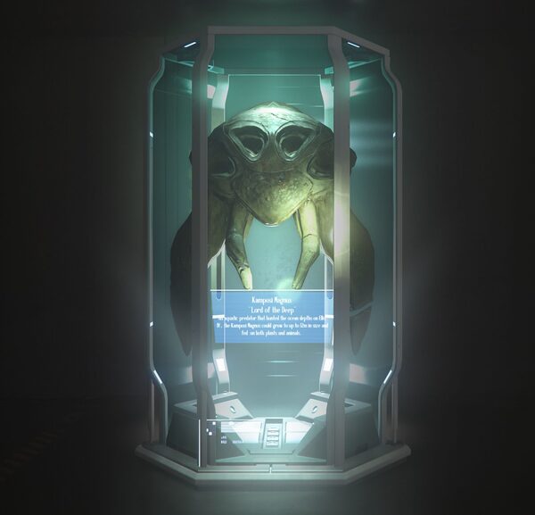 Puglisi Collection: Skull