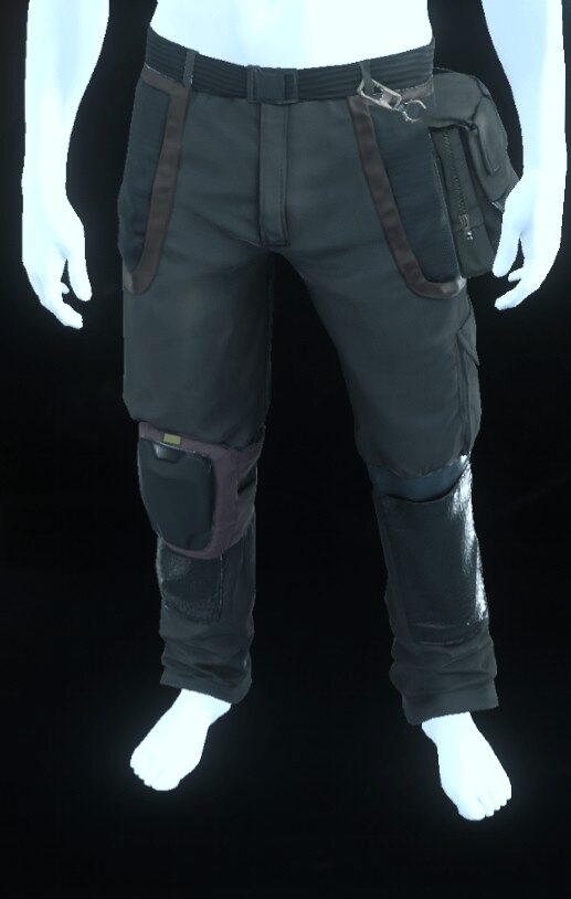 Edgewear Pants Sienna