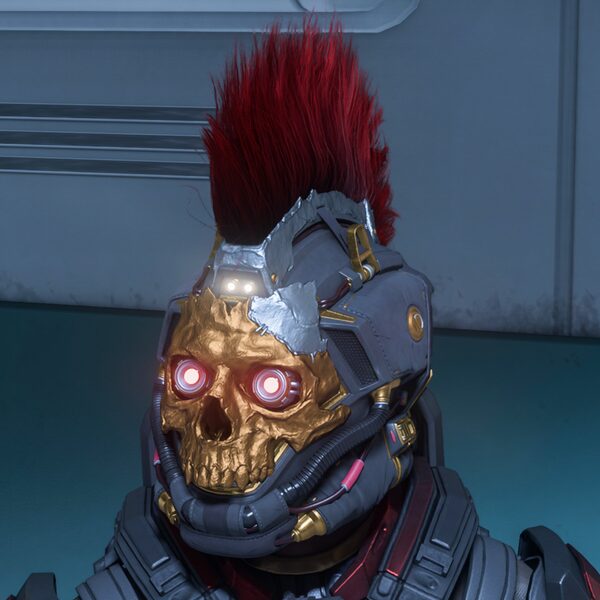 Deadhead Helmet