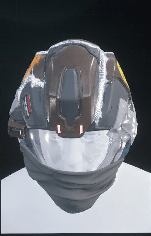 Why Not? Flight Helmet