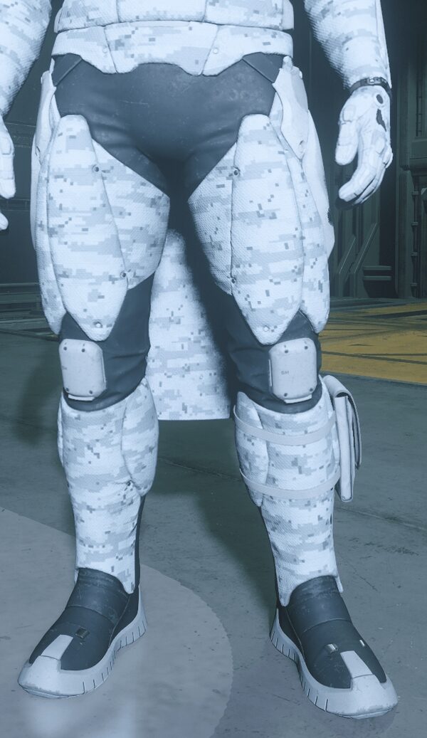 Geist Armor Legs Snow Camo