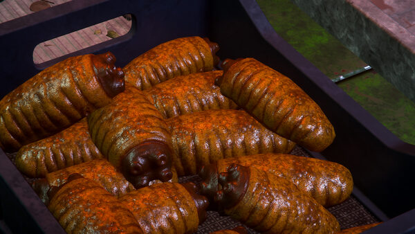 Fried Seanut